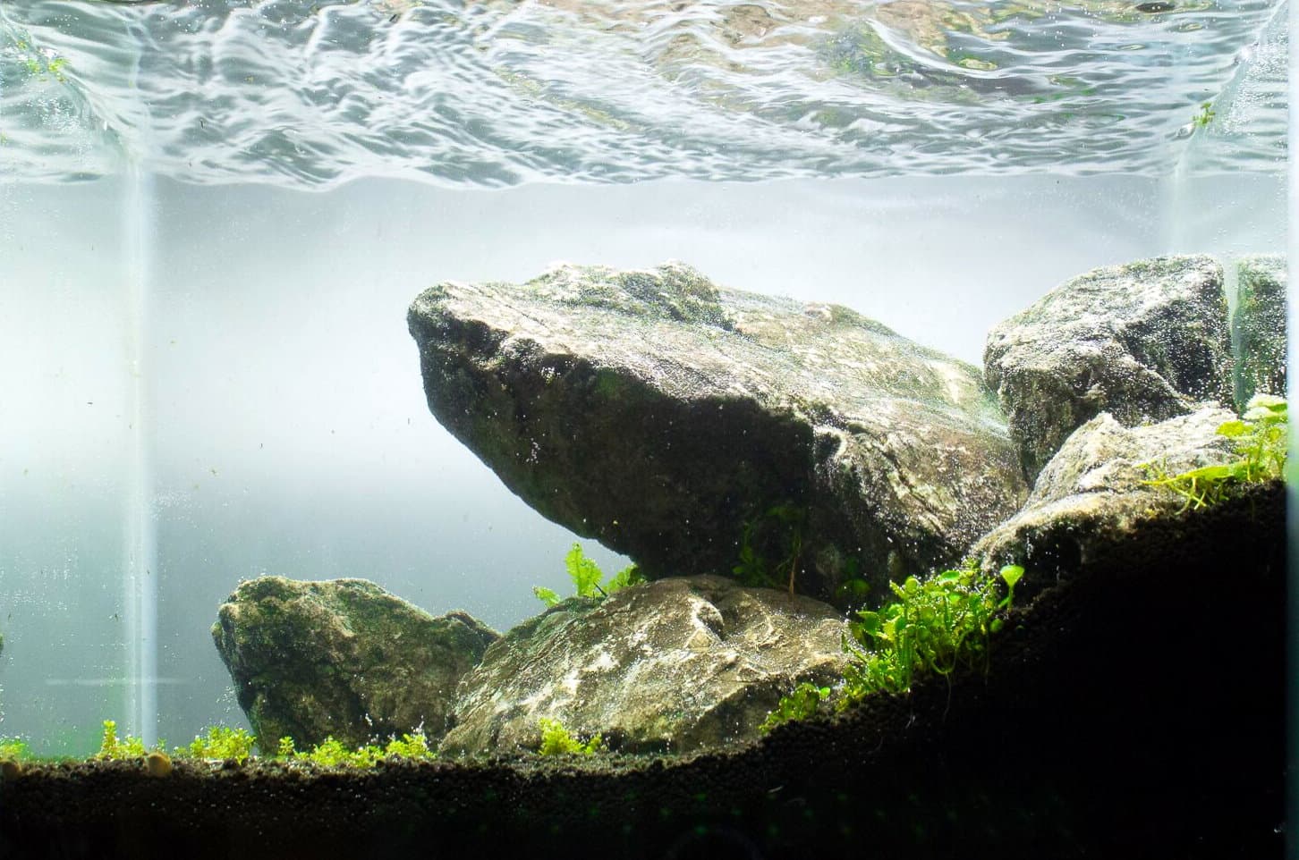 Little Aquascape Iwagumi